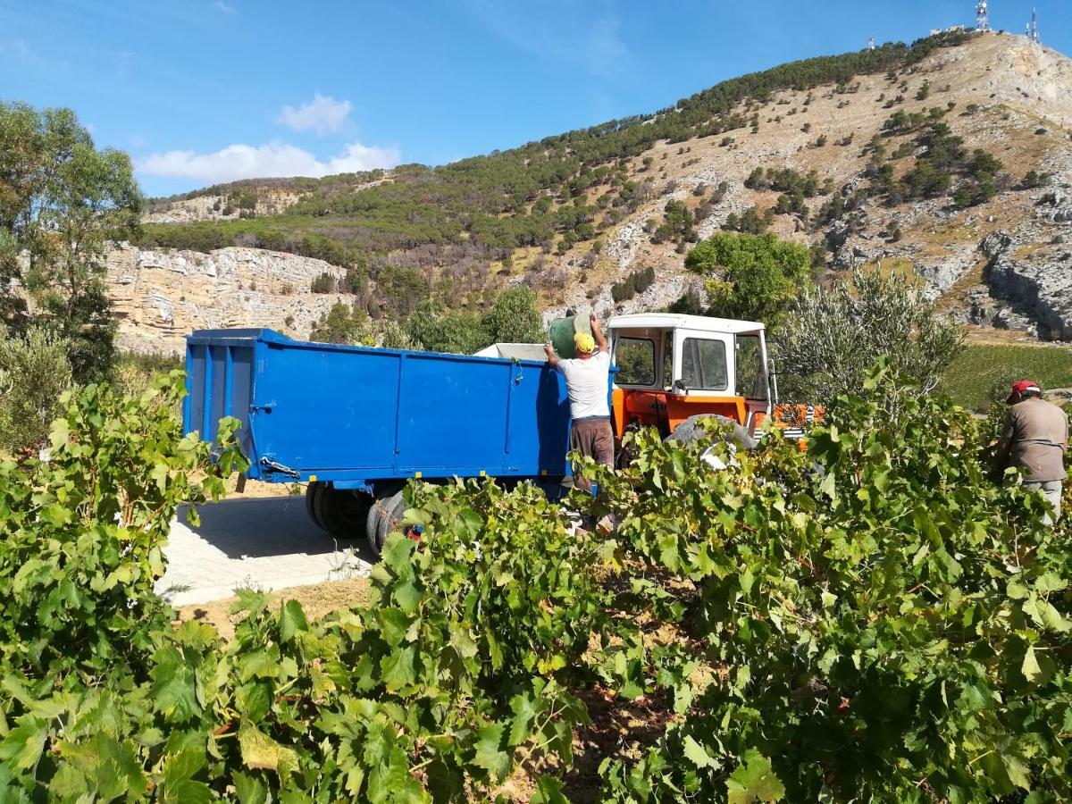 Villa Bonifato Vista Sulle Campagne E Sul Mare Siciliano Cozy House Italy Alcamo Exteriér fotografie
