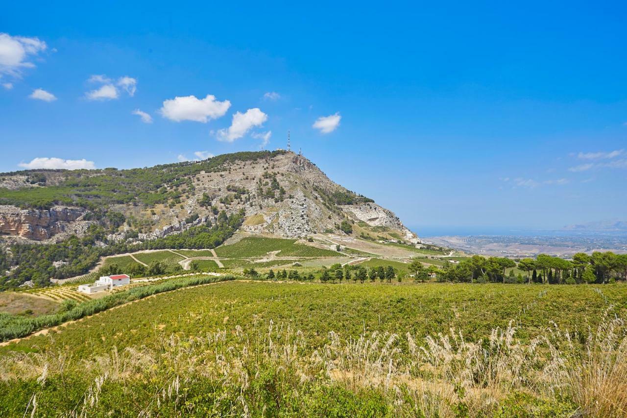 Villa Bonifato Vista Sulle Campagne E Sul Mare Siciliano Cozy House Italy Alcamo Exteriér fotografie
