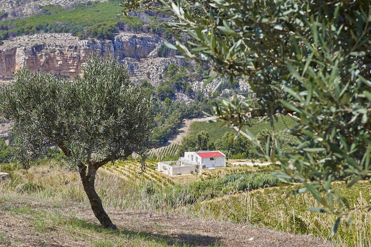 Villa Bonifato Vista Sulle Campagne E Sul Mare Siciliano Cozy House Italy Alcamo Exteriér fotografie